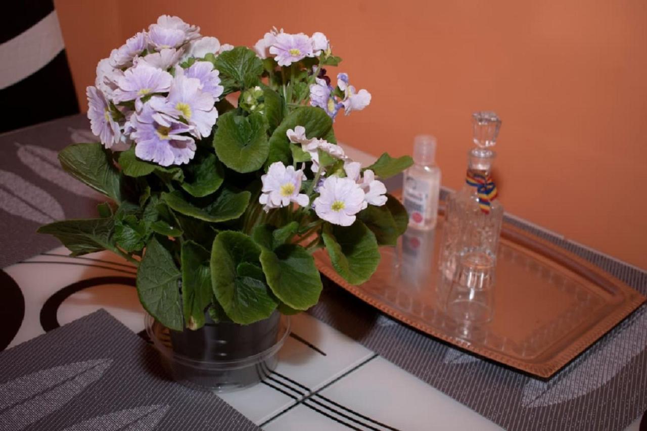 Central Apartment Maria Sibiu Eksteriør bilde